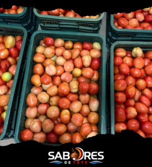 Tomate Fresco de Tete — Caixa de 30 kg