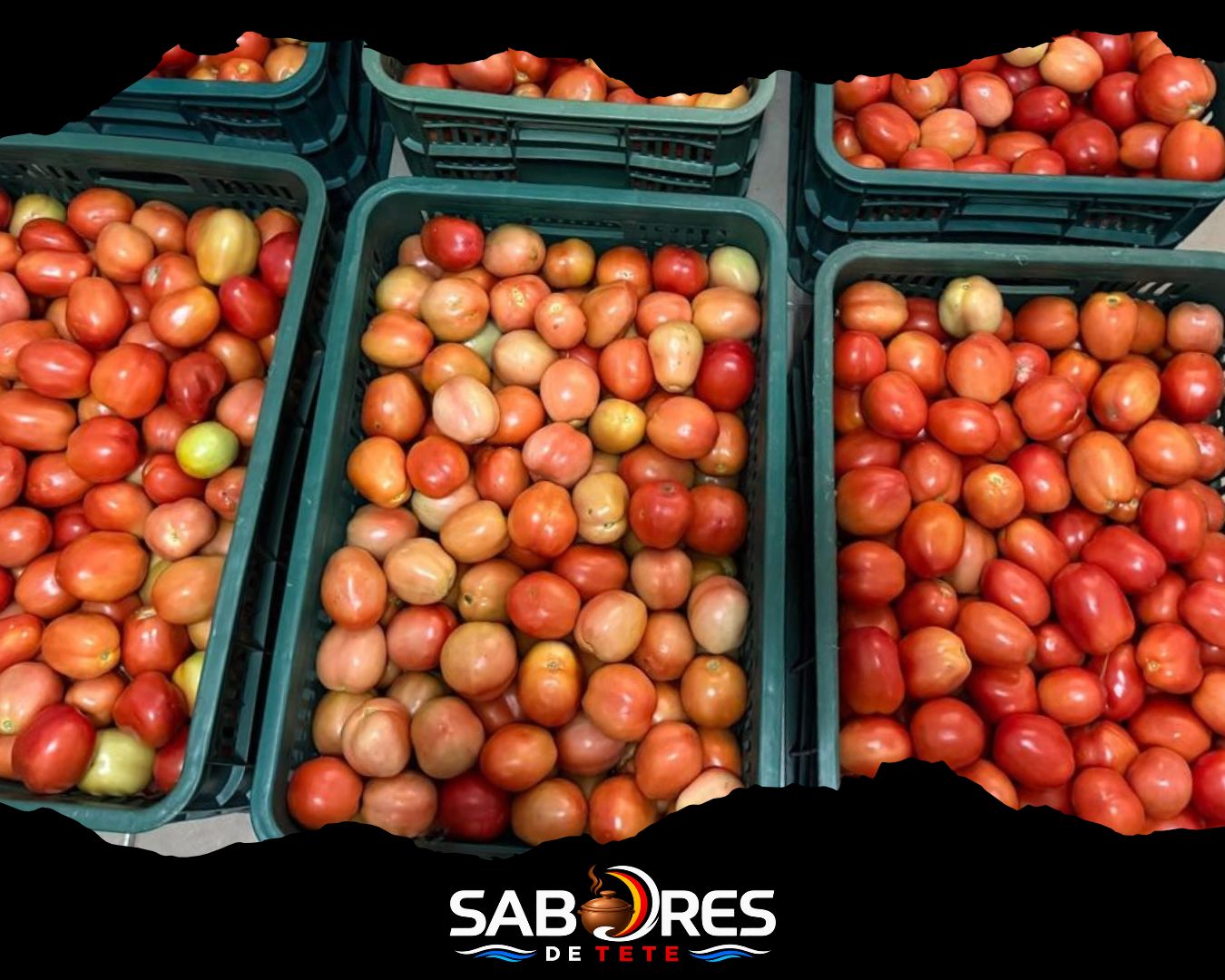 Tomate Fresco de Tete — Caixa de 30 kg